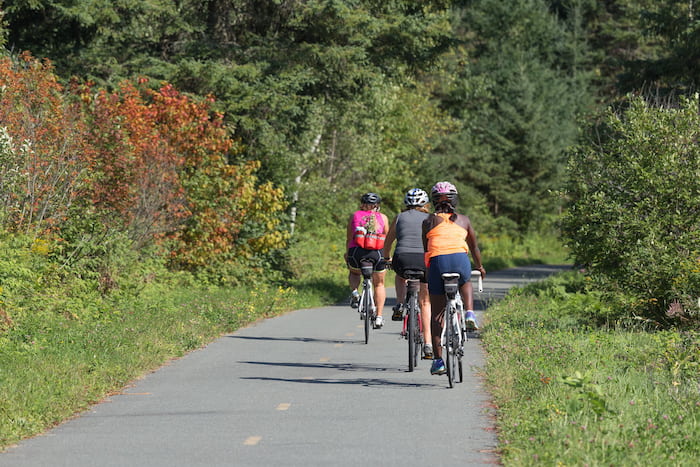 6 recommandations pour reprendre le vélo en toute sécurité