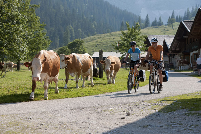 Vélo et chaleur : 8 conseils pour éviter le coup de chaud